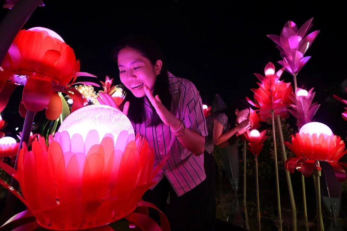 Known By Flowers light installation