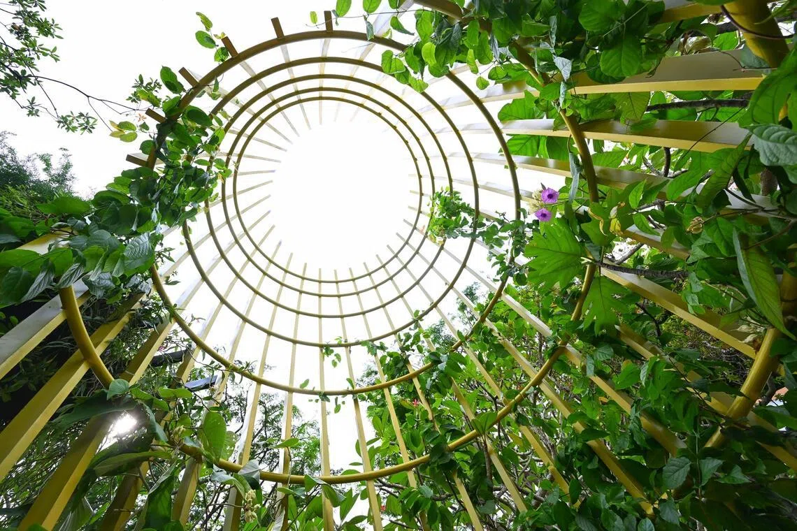 Show garden by Nyee Phoe Flower Garden